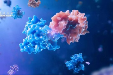 可降解體內任意蛋白?劉如謙團隊發表《科學》重磅