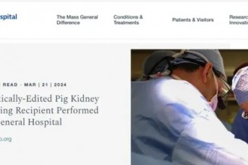 全球首例豬腎移植患者死亡，異種移植再現“活不過倆月”魔咒