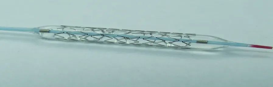 微信圖片_20250722145406